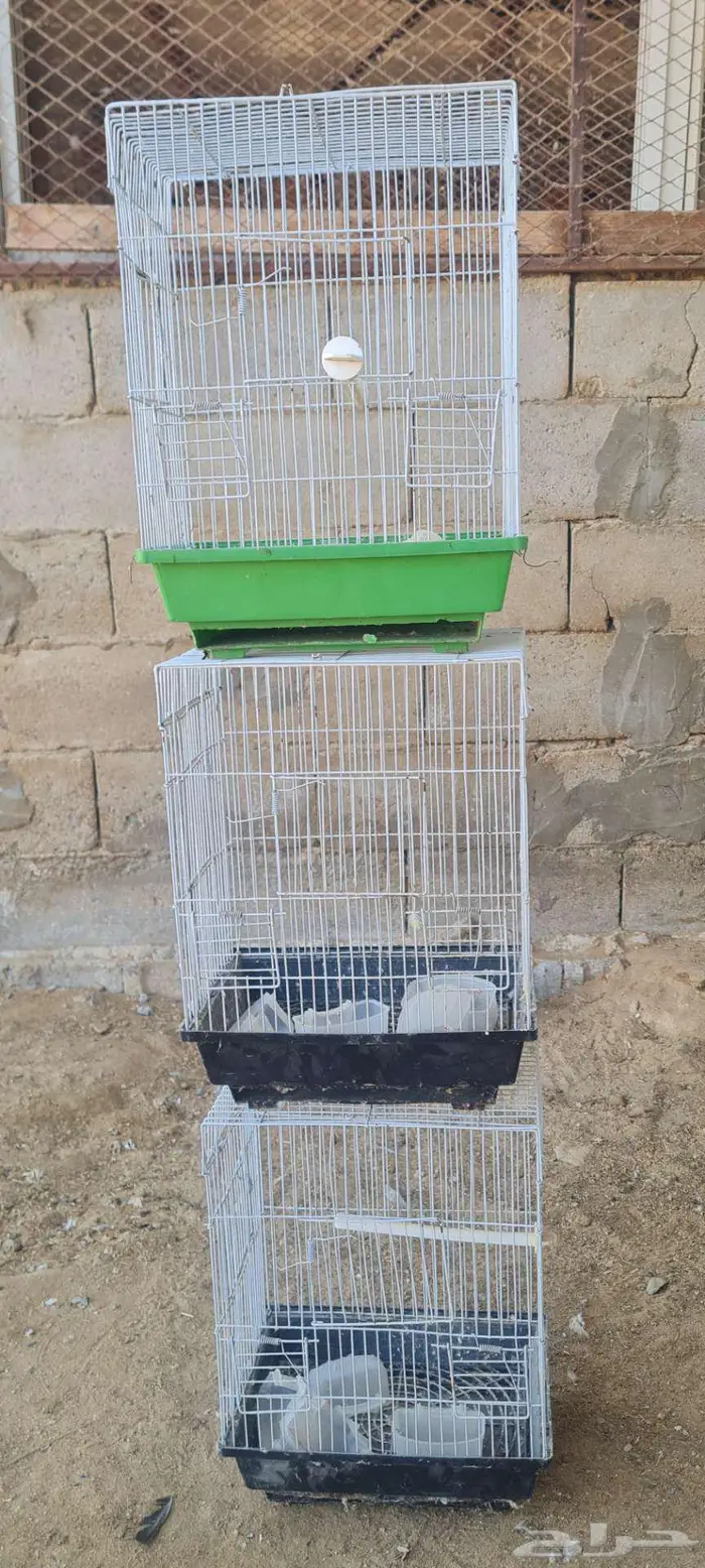 أقفاص طيور زينه جميع الاحجام 2