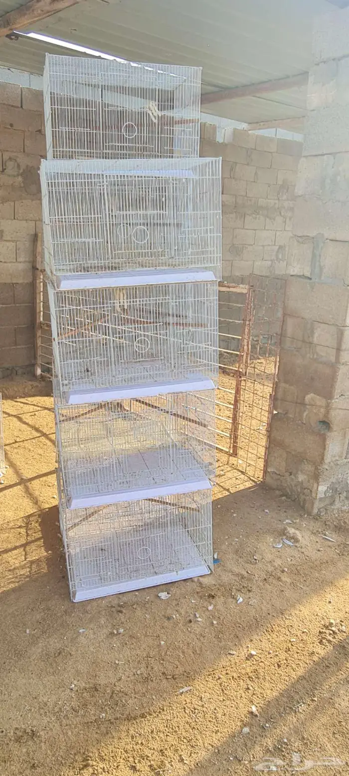 أقفاص طيور زينه جميع الاحجام 1