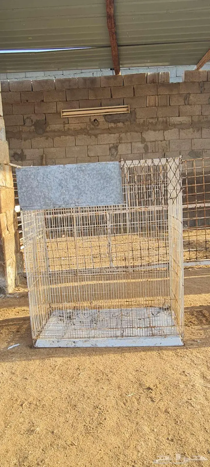 أقفاص طيور زينه جميع الاحجام 6