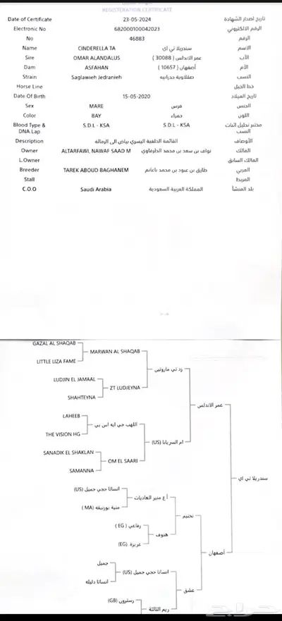 فرس واهو index