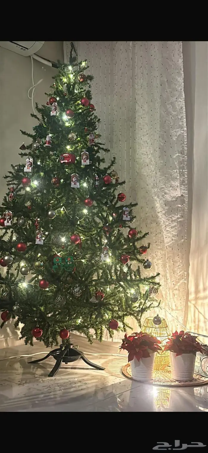 Abu Al Qassim Al Amadi 0