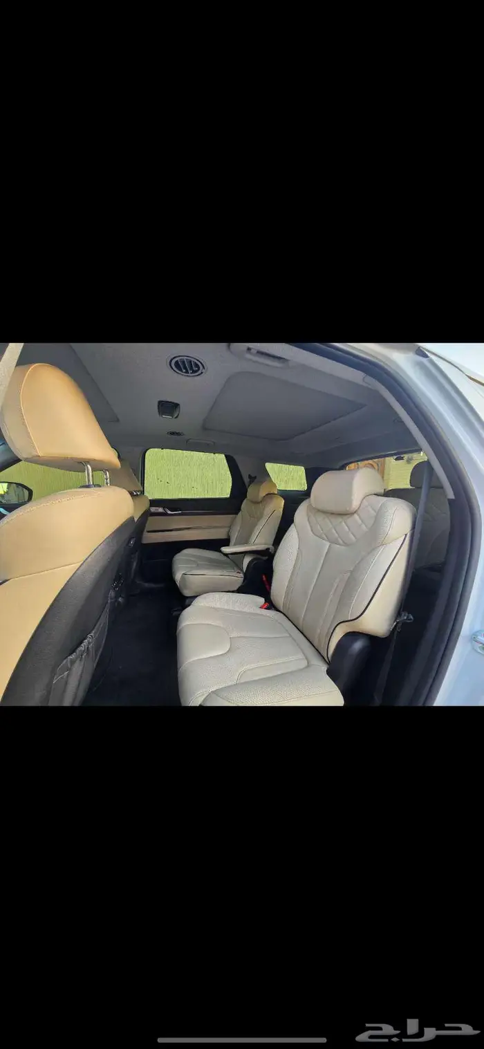 باليسيد ديزل دبل ابيض 2021 15