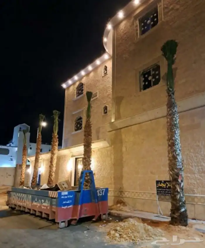 نخل واشنطن زينه 3