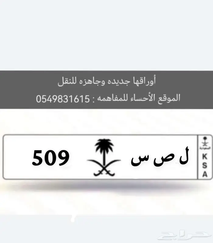للبيع لوحه 509 0