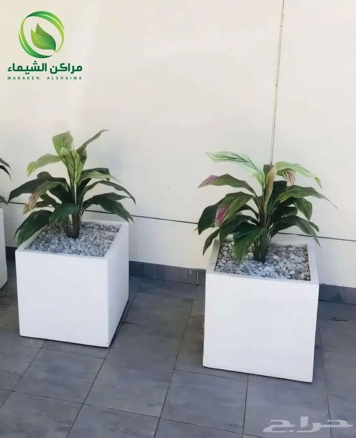 احواض زرع جاهزة جملة فايبر ومراكن للاشجار الباحة 45