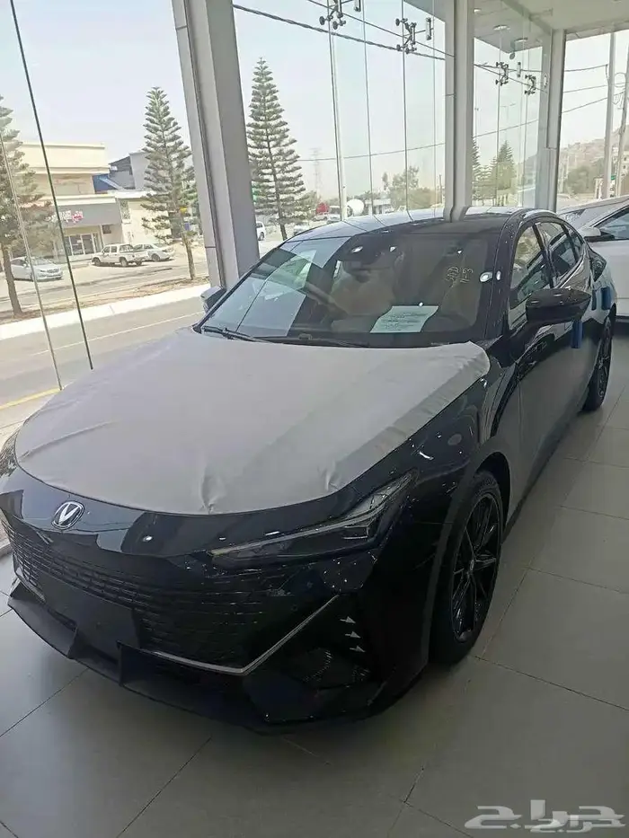 شانجان يونى فى ايليت 2026 0