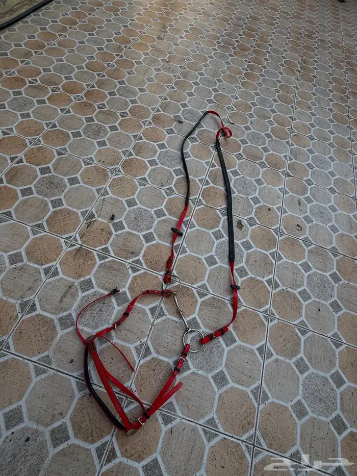 سرج خيل مستخدم 4