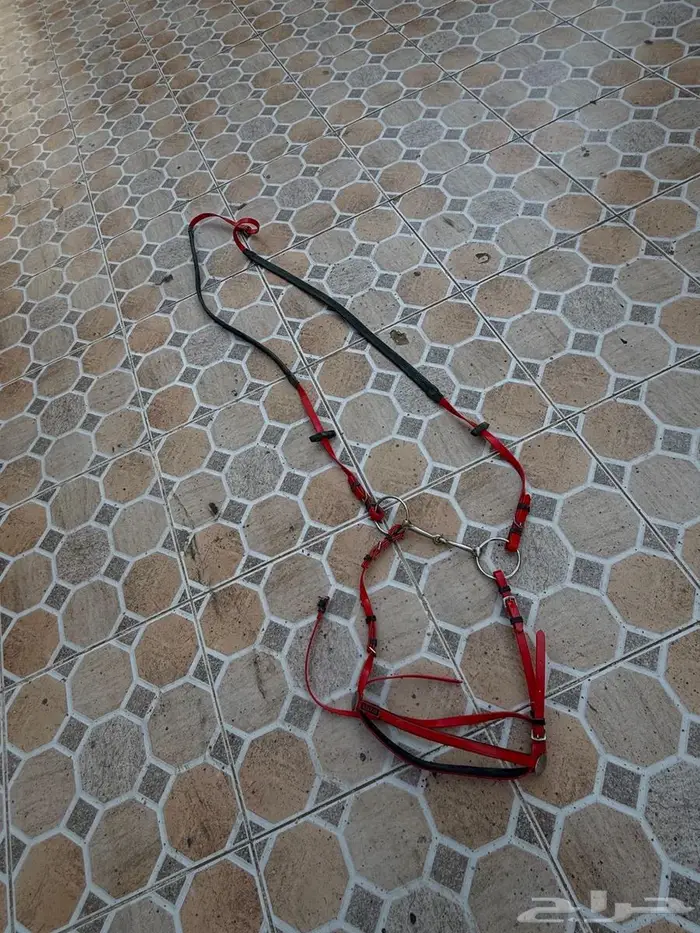 سرج خيل مستخدم 1