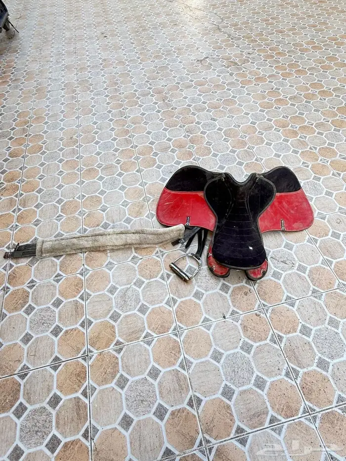 سرج خيل مستخدم 5