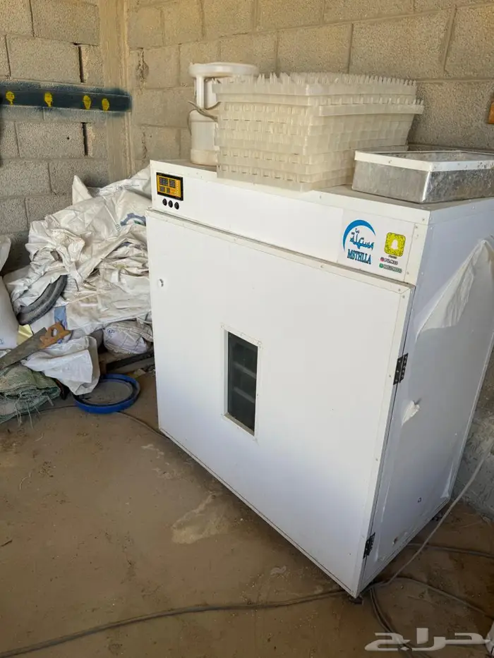 فقاسة مستهلة شبة جديدة 1