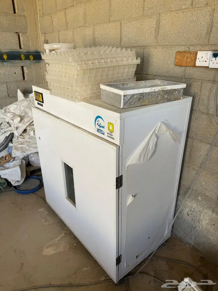 فقاسة مستهلة شبة جديدة 0