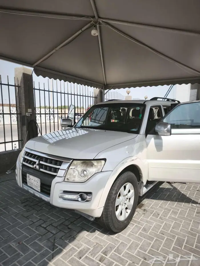 ميتسوبيشي - باجيرو - 2018 0