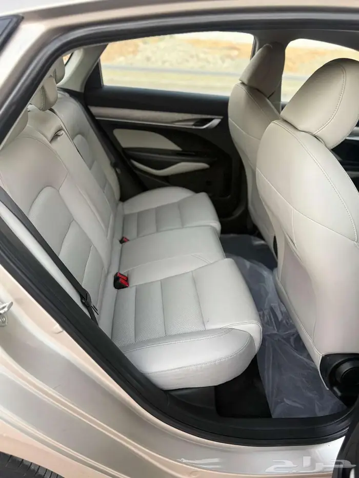 جيلي بينراي 2020 8