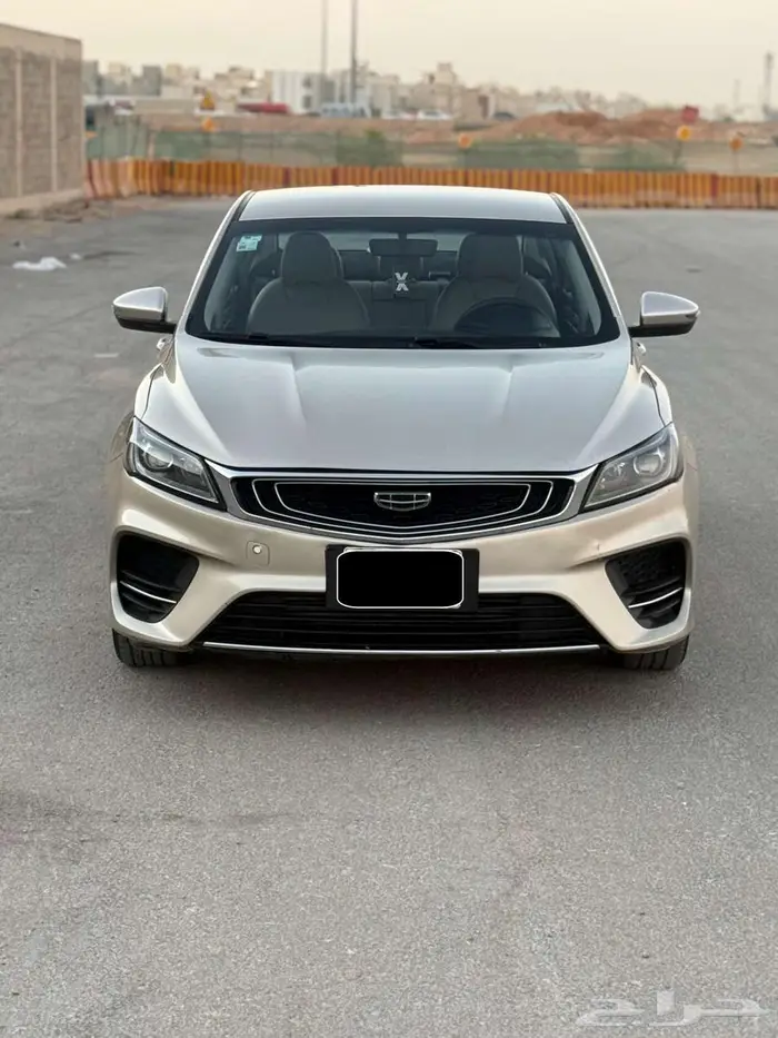 جيلي بينراي 2020 0