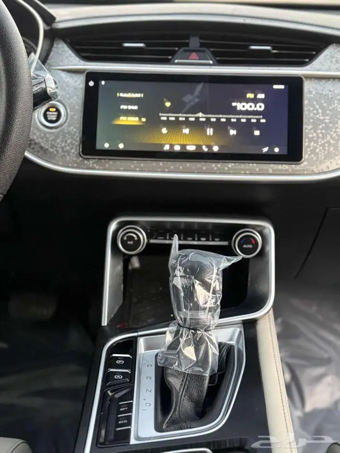 جيلي بينراي 2020 12