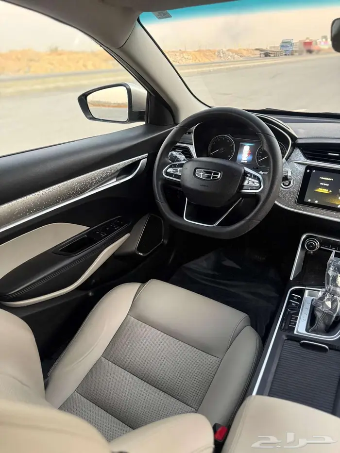 جيلي بينراي 2020 13