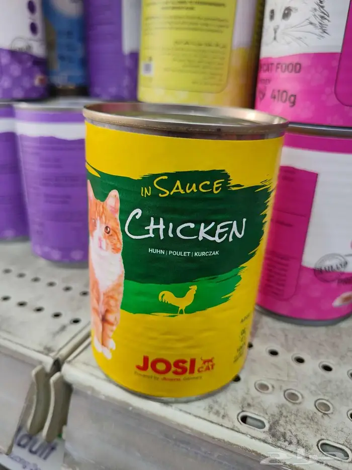 رمل قطط واكل قطط رطب الاحساء على الطلب 3