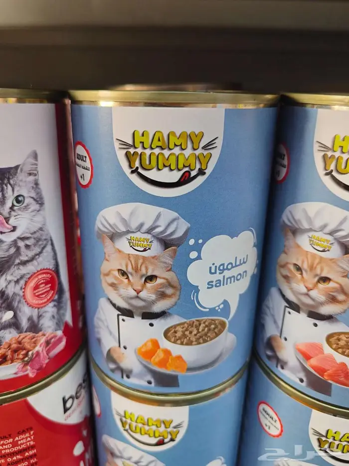 رمل قطط واكل قطط رطب الاحساء على الطلب 6