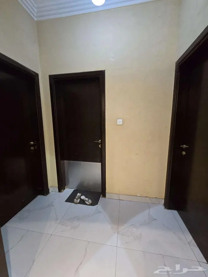 فيلا فاخرة للبيع في حي الجزيرة 32