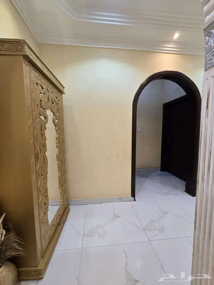 فيلا فاخرة للبيع في حي الجزيرة 24