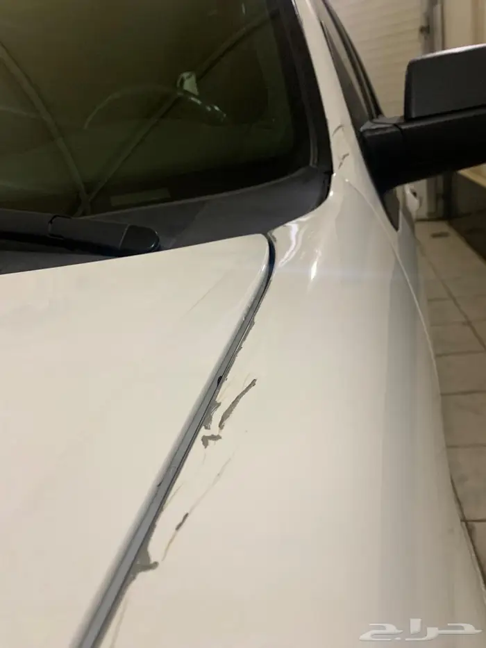 اكسبيدشن 2016 نظيف 4