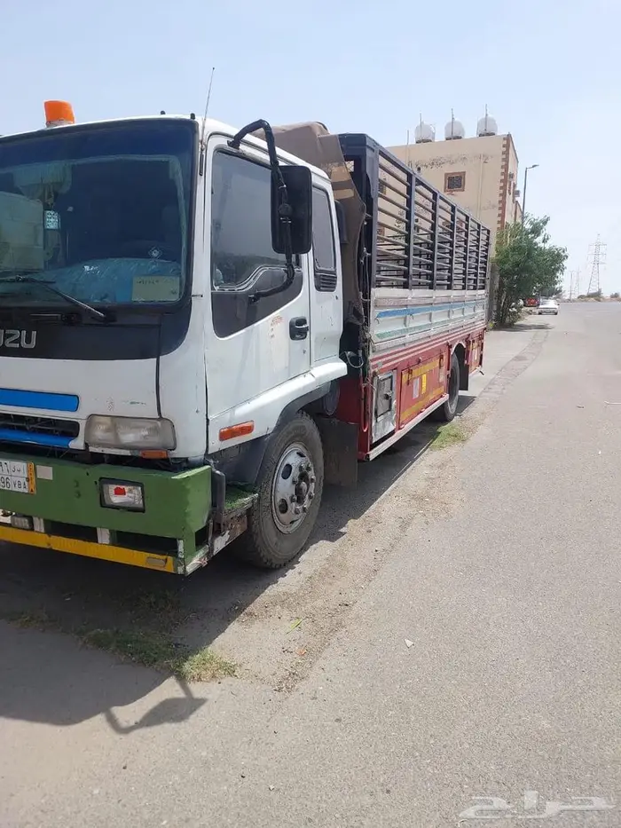 دينا ايسوزو لوري 0