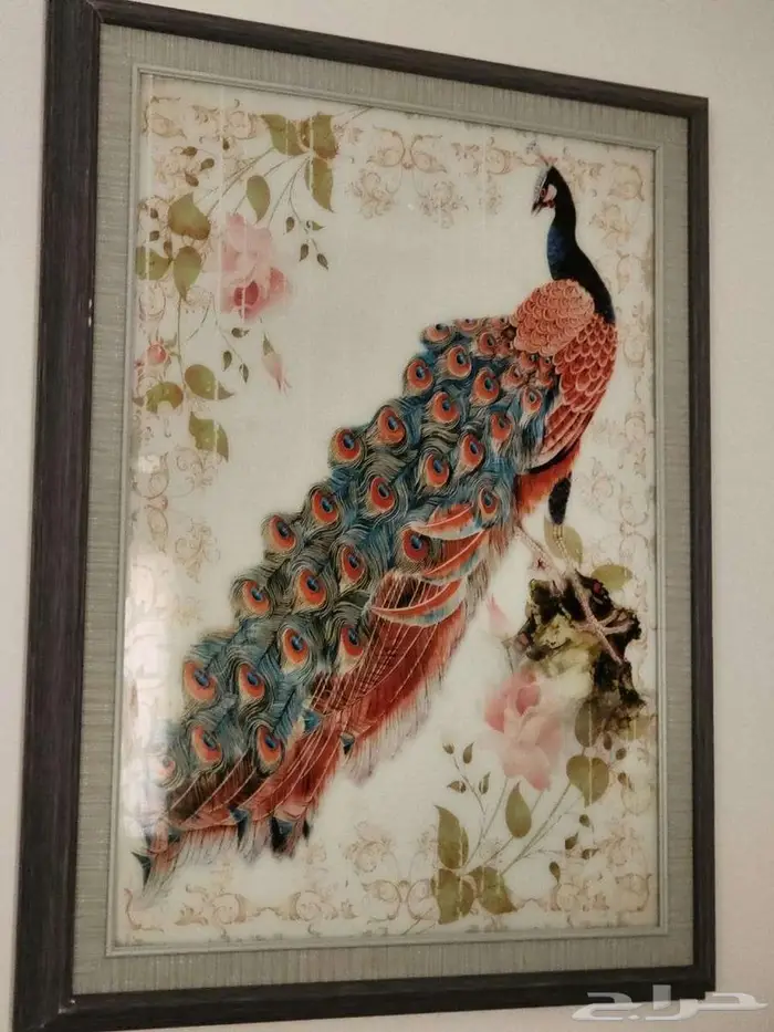 طاولة بلازما - مقعد وجلاسة رضيع - مرايات - لوحة طاووس 9