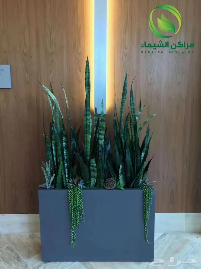 احواض زرع جاهزة جملة فايبر ومراكن للاشجار الباحة 30