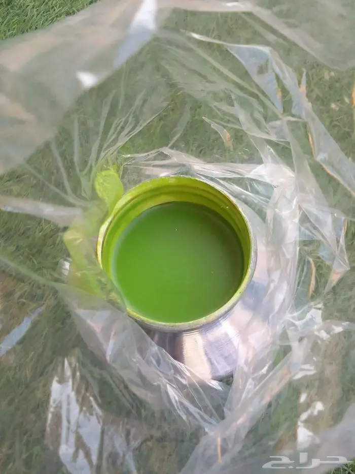 بقل او اقط وسمن غنم 0