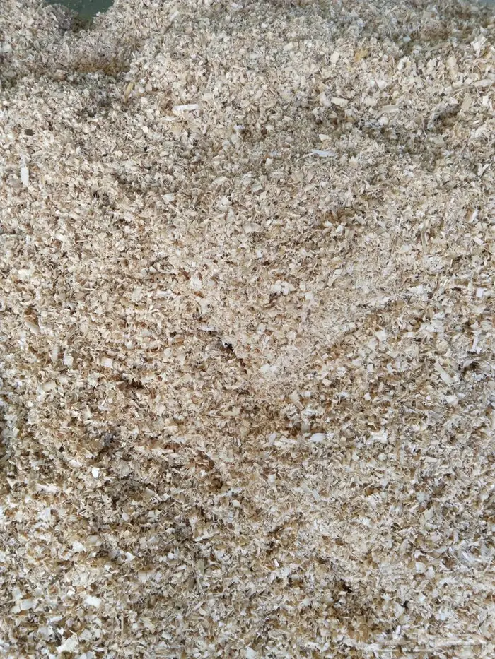 نشارة خشب خيل ودواجن 2