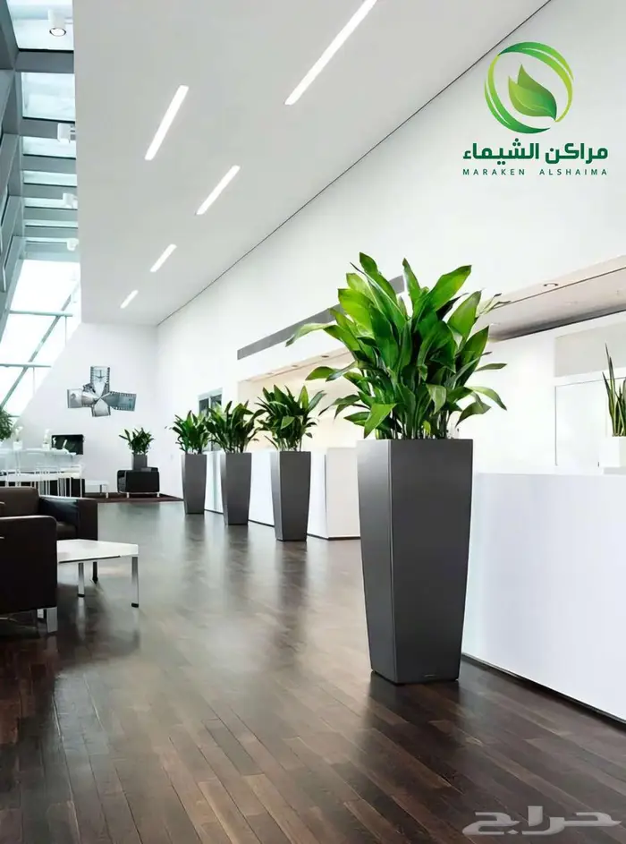 احواض زرع جاهزة جملة فايبر ومراكن للاشجار الباحة 47