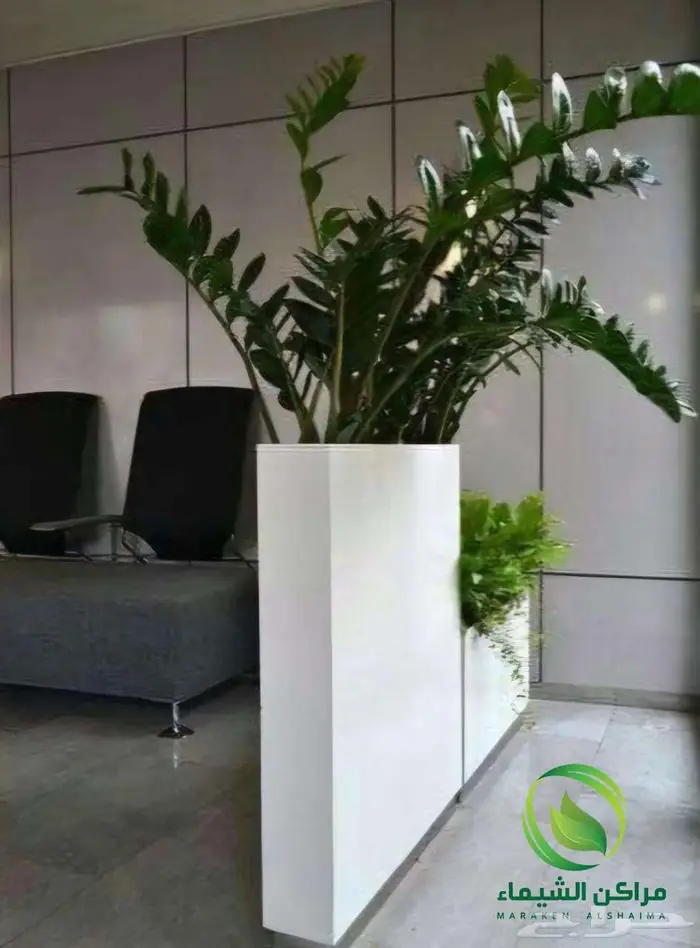 احواض زرع جاهزة جملة فايبر ومراكن للاشجار الباحة 41