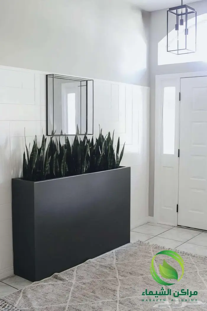 احواض زرع جاهزة جملة فايبر ومراكن للاشجار الباحة 29