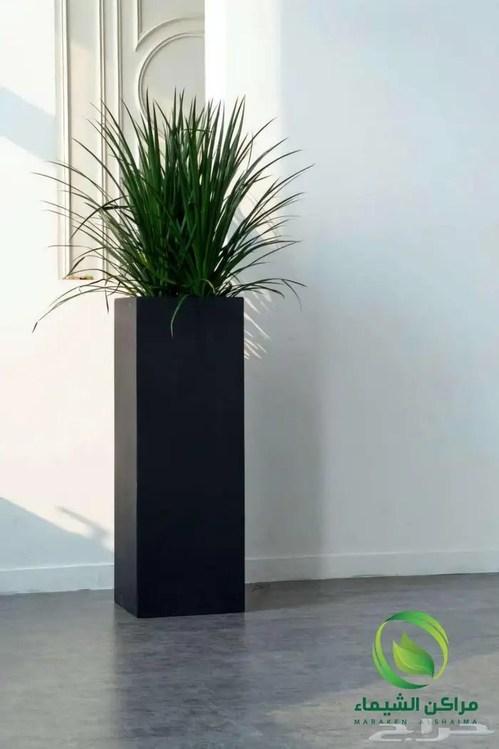 احواض زرع جاهزة جملة فايبر ومراكن للاشجار الباحة 39