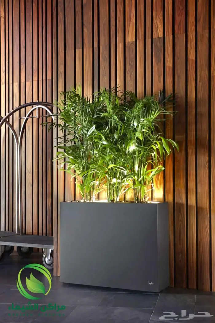 احواض زرع جاهزة جملة فايبر ومراكن للاشجار الباحة 31