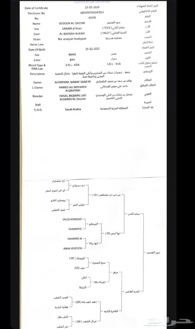 فرس واهو فاخره index