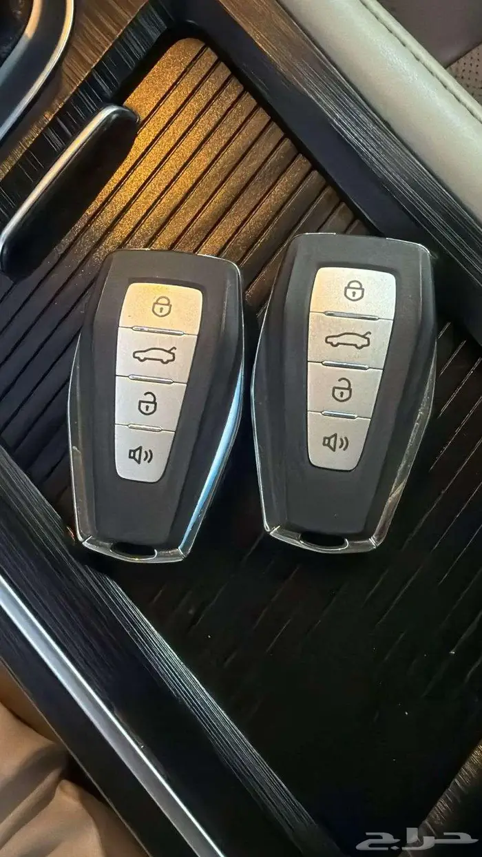 جيلي بينراي 2020 11