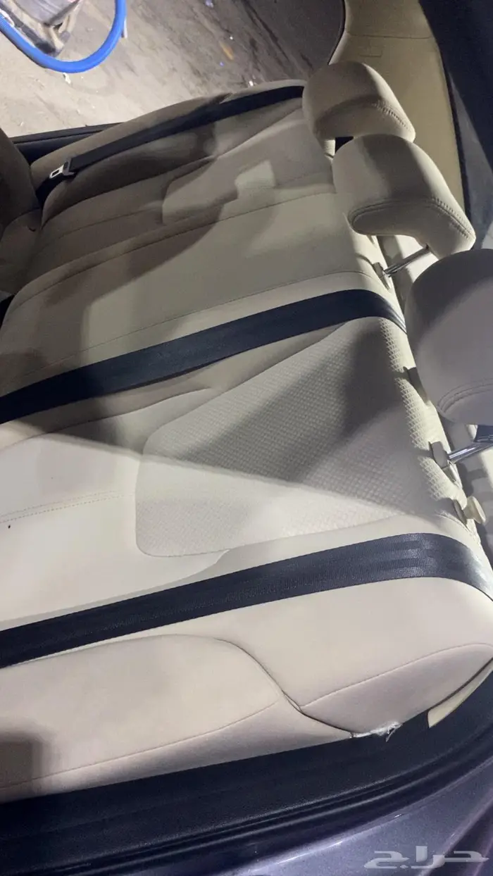 شيري اريزو 5 6