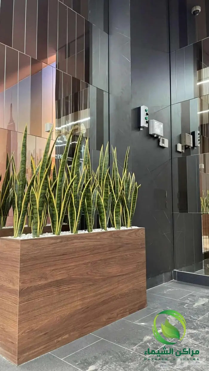 احواض زرع جاهزة جملة فايبر ومراكن للاشجار الباحة 33