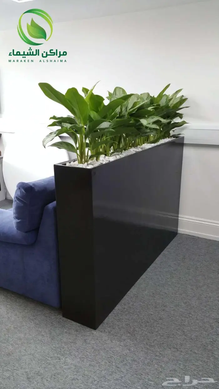 احواض زرع جاهزة جملة فايبر ومراكن للاشجار الباحة 36