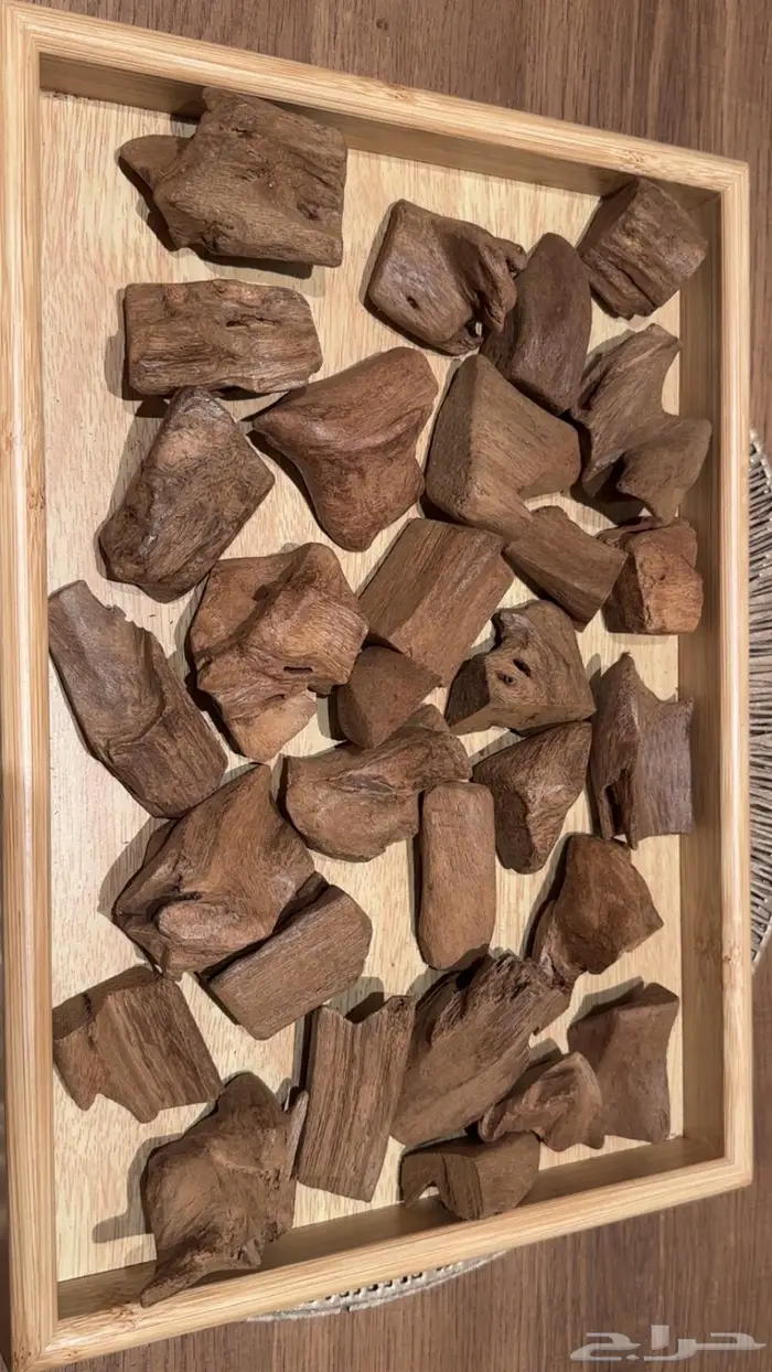 للبيع عود مروكي نوادر 4