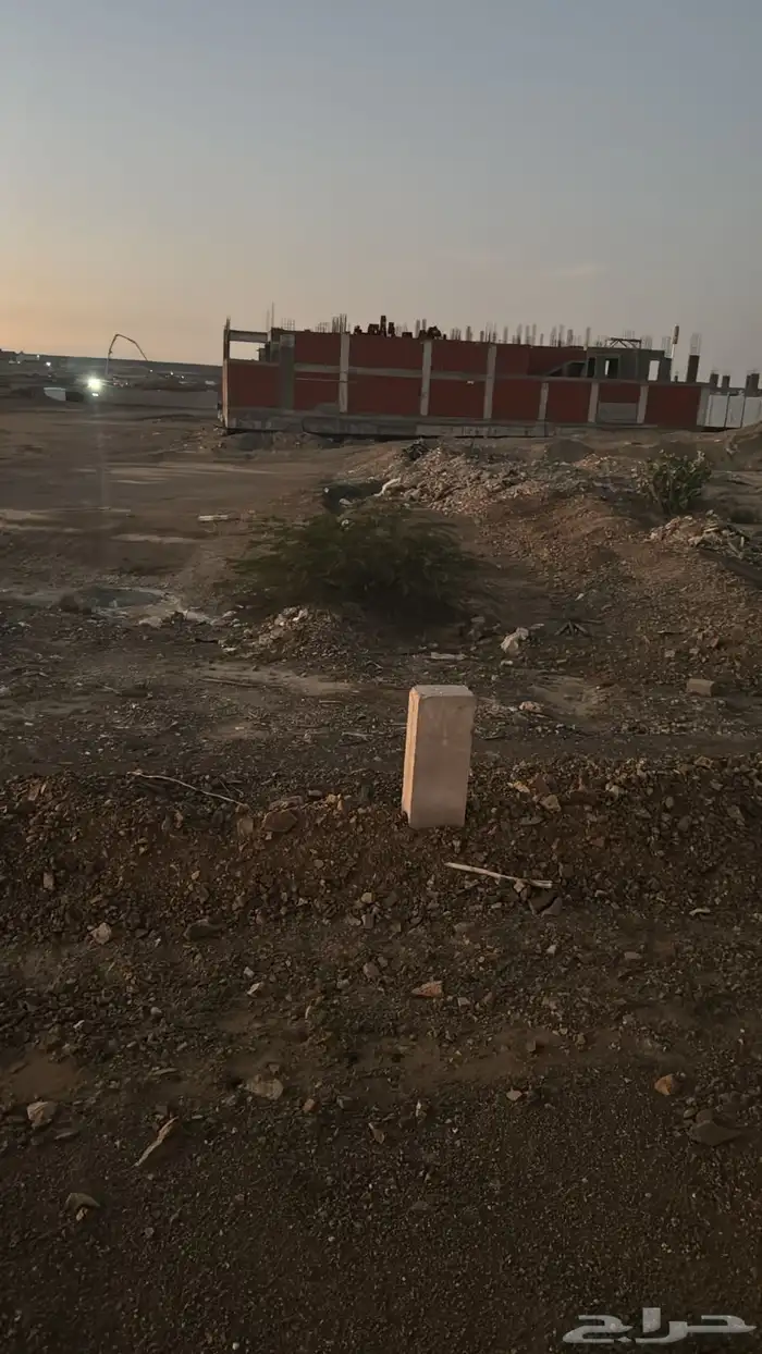 ارض على زاوية في الصفوة الجامعيين سابقا 2