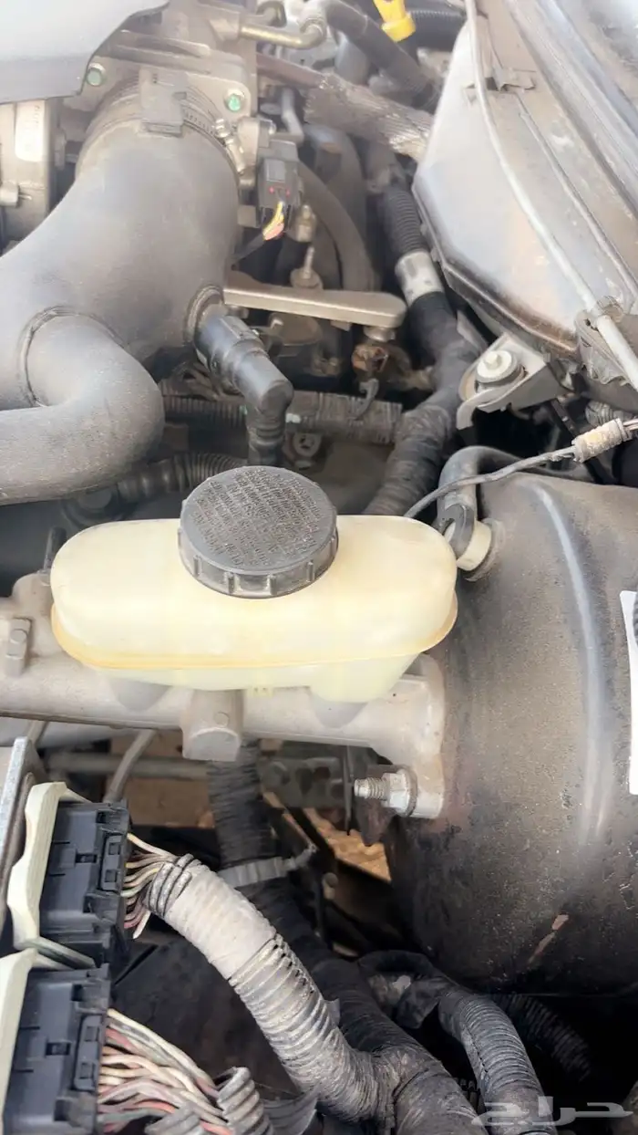 ماركيز 2006 12