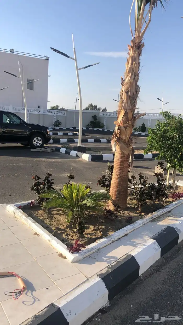 كشكات درايف ثرو للايجار 2