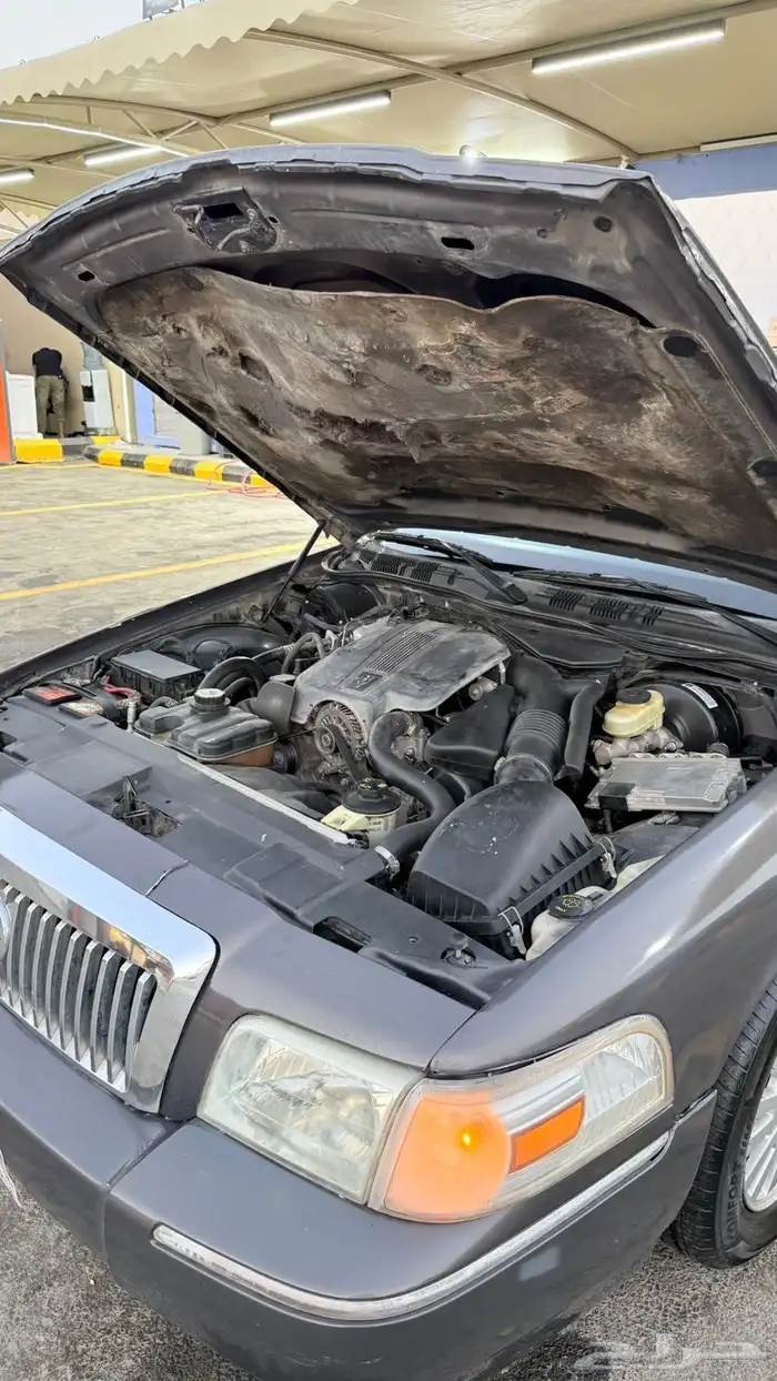 ماركيز سعودي 14