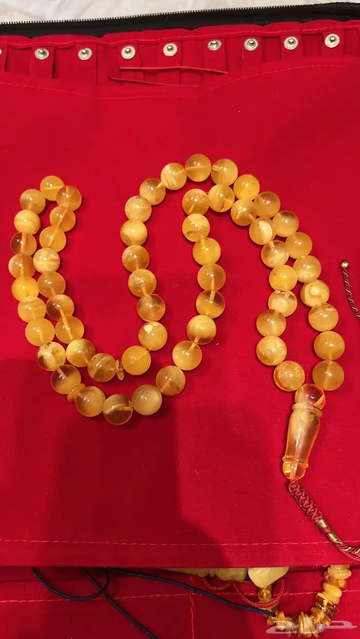 مزاد كهرمان من الصفر بعد العشاء غدا 2