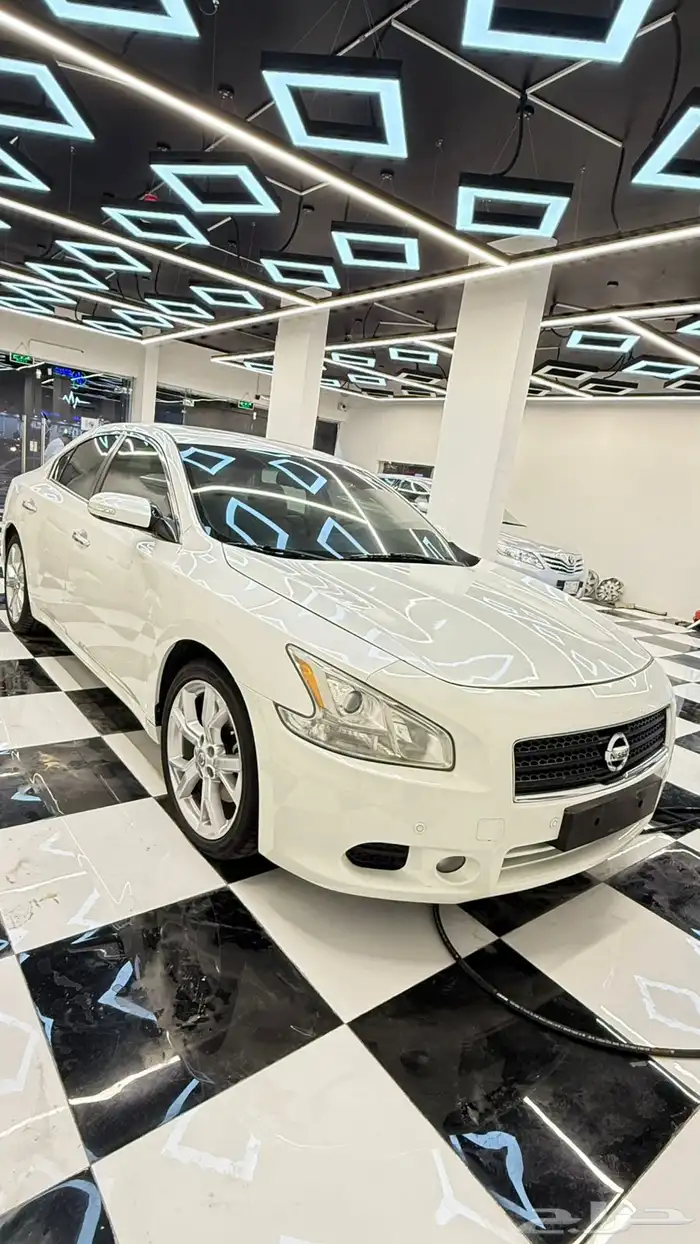 ماكسيما 2013 نص فل من المالك الاول 2