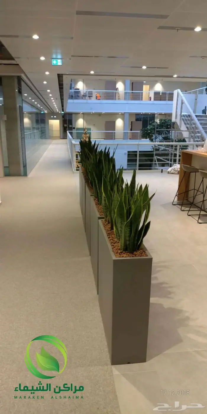 احواض زرع جاهزة جملة فايبر ومراكن للاشجار الباحة 28