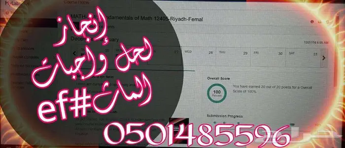 الجامعة السعودية الالكترونية 73