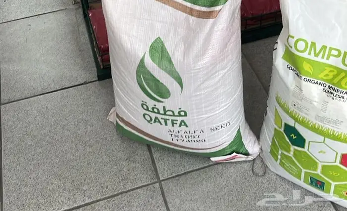 بذر امريكي شرط وأمانه انه اصدر هالسنه و انه غير مضروب 0